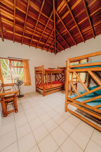 Habitación Loro