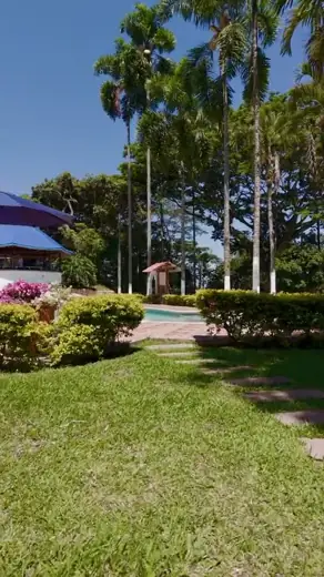 Un vuelo por la finca