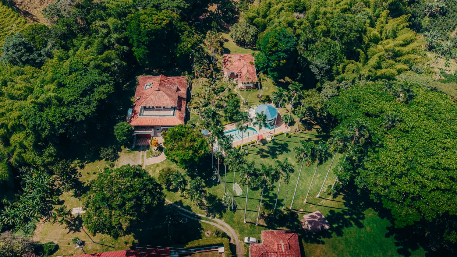 Piscina de la finca entre palmeras