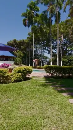 Un vuelo por la finca