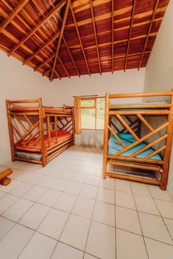 Habitación Loro